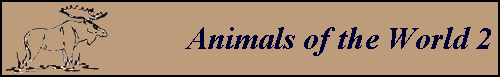 Animals of the World 2