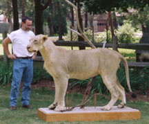 Dean with African Lion