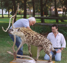 Paul and Dean with Hyena