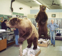 Paul Thomas with Brown Bears