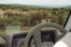 addoelephantpark_small.jpg