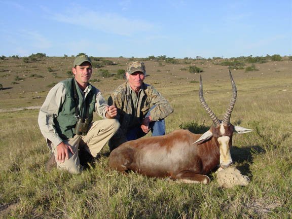 blesbok.jpg