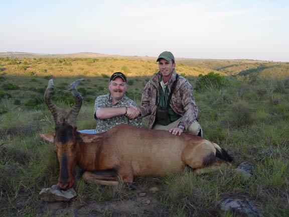 caperedhartebeest.jpg