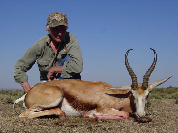 kalaharispringbok.jpg