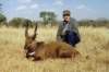 limpopobushbuck2_small.jpg