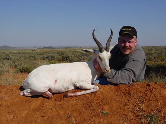 whitespringbok.jpg