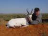 whitespringbok_small.jpg