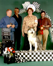 Comet taking 4th in the 2005 Working Dog Showcase