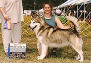 Comet's first Best of Breed win