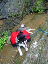 Cooling off in a cool pool