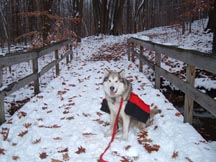 Resting along the trail for a good photo opp