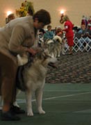 Hope in her first veterans class at the 2007 National Specialty