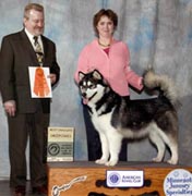 She took Best Graduate in Sweeps at the 2005 Minnesota January Specialties show