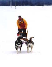 Rhyde sledding with Glacier and Hope